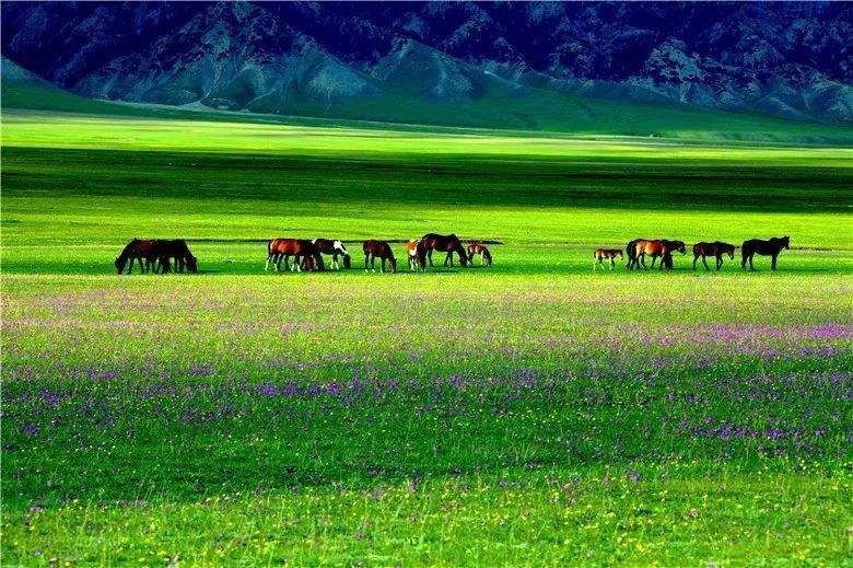 中國氣象局：22個市縣獲評國家氣候標志